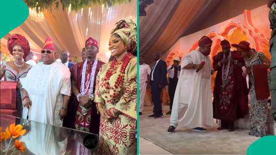 JP2025: Davido’s uncle Gov Adeleke storms Priscy and Juma’s wedding, he performs for couple on stage