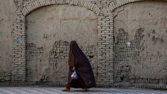 UN accuses Taliban of harassing female staff in Afghanistan