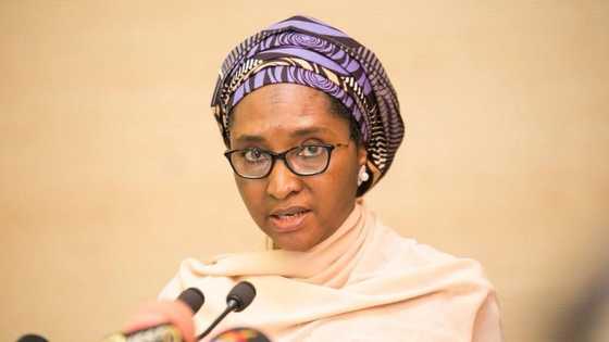 Why we are taking loans, FG finally clears air amid criticism, gives two reasons