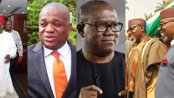 2023 presidency: 5 Igbo men who want to take President Buhari's seat (ex-governors, senators)