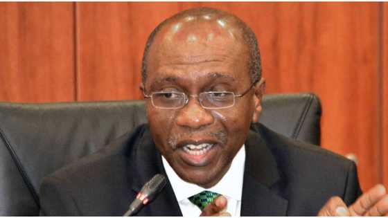 Ex-CBN head, Obadiah Mailafia, criticises Godwin Emefiele's decision to ban BDC operators from selling forex