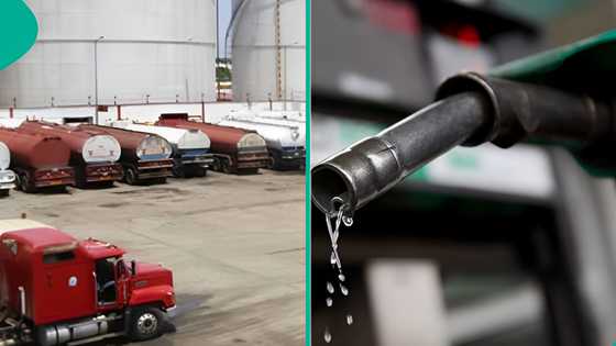 Competition for Dangote as 8 Nigerian companies import 332m litres of petrol