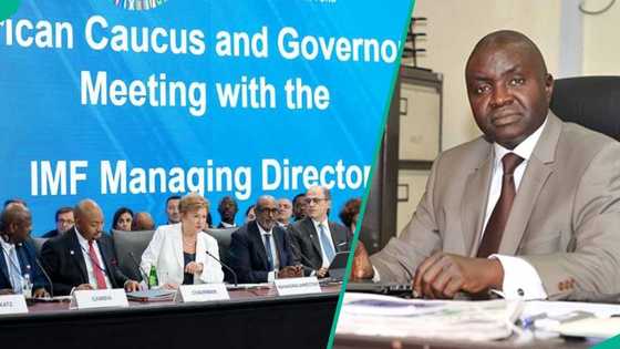CPPE reacts to IMF report, advocates policy stability for growth