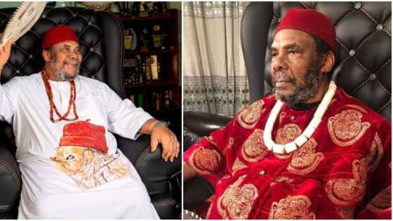 “This year would have its challenges”: Pete Edochie warns in his new year prayer, video trends