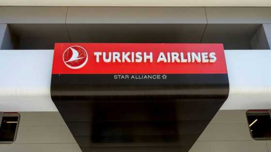 Turkish Airlines makes huge Airbus order in bid for air dominance