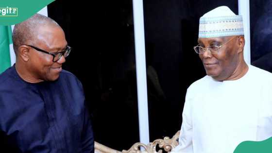 2027: Tinubu's govt reacts as Peter Obi, Atiku’s meeting sparks merger talks