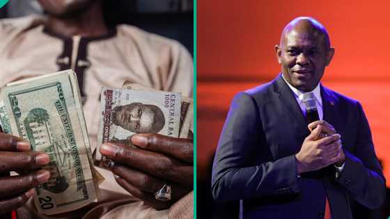 Elumelu speaks on expectations for naira as dollar crashes in FX markets