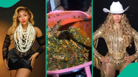 BBN star Erica likens herself to Beyonce over cooking skills: “I followed all the steps on YouTube”