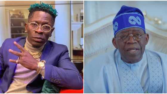 "Everyone says I look like you": Ghanaian Singer Shatta Wale begs Tinubu to adopt him, calls him dad