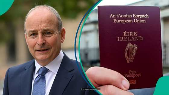 Ireland increases annual salary requirement for foreigners seeking General Employment Permit