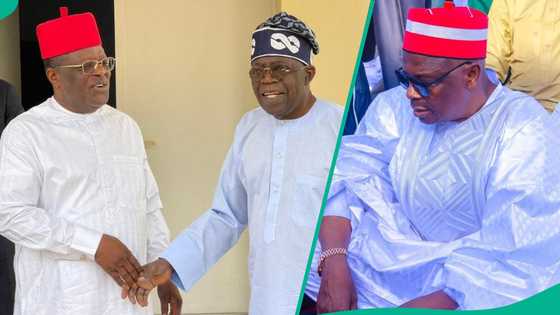 Minista ya soki Kwankwaso da ya taba Tinubu, ya masa gorin ƙuri'un Buhari miliyan 12