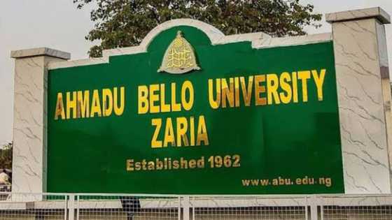 Yadda lemu da N500, 000 su ka kubutar da 'Daliban ABU 9 da aka yi garkuwa da su