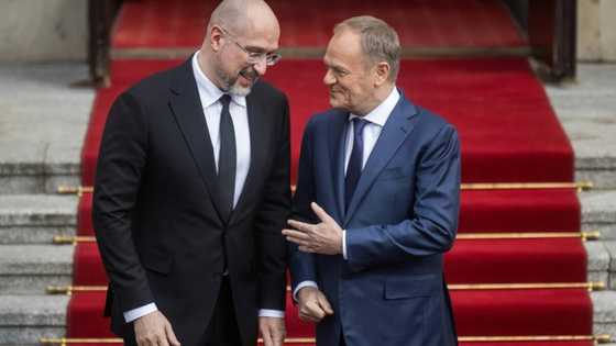 Poland, Ukraine hail 'step forward' on farm imports dispute