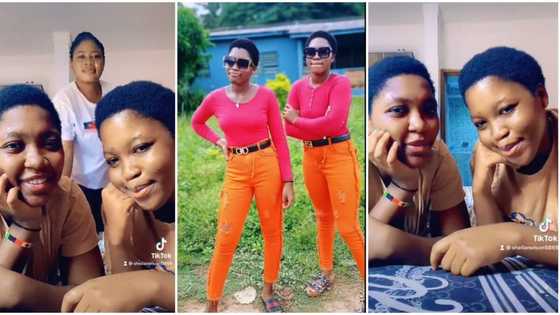 "I refused to abort them": Young mum who gave birth to twins when she was 16 proudly shows them off in video