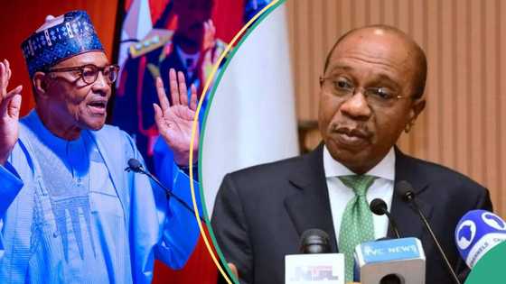 Gwamnatin Buhari ta ci bashin N30tr a CBN? Gaskiya ta bayyana