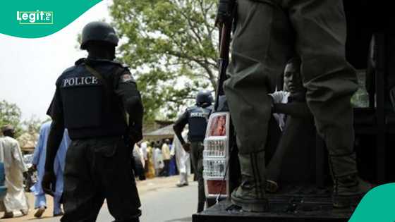Breaking: Police arrest 3 suspects over killing of housewife, 6 children in Kano
