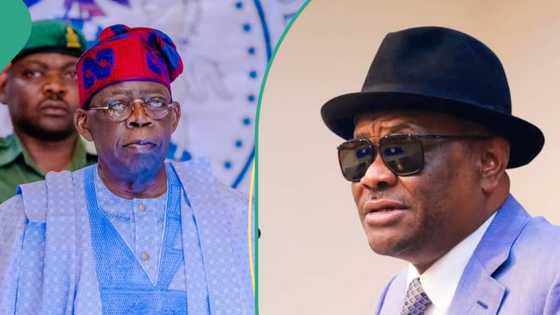 Rivers crisis: Why Tinubu must call Wike to order, analyst gives reason