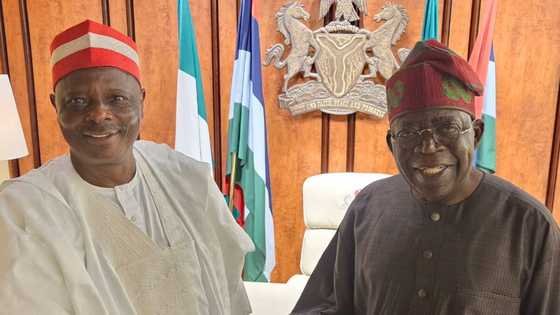 Ministerial appointment: Why President Tinubu Dropped Kwankwaso, Sources Reveal