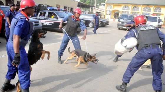Yadda Aka Ba Hammata Iska Tsakanin Jami’in NSCDC Da Dan Bautar Kasa a Kan Abinci