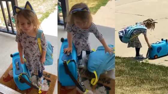 "She left the family": Little kid packs bags, leaves home in protest after mother offended her