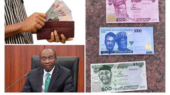 Features of New naira notes as Nigerians wait for D-day