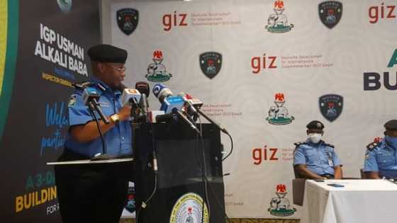 Bandits operates for an hour in Katsina, kill two vigilante, abduct newlywed couple