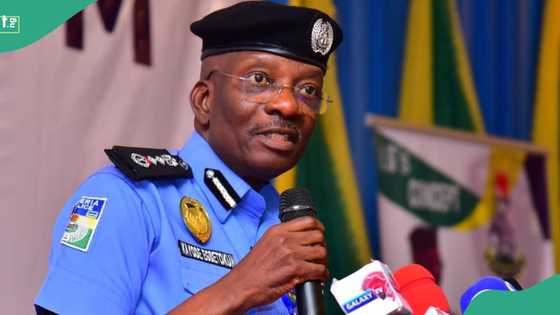 ‘Police need N245 billion to address patrol vans shortage’, IGP explains