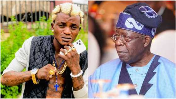 2023 presidency: Why I endorsed Tinubu, singer Portable shares powerful details