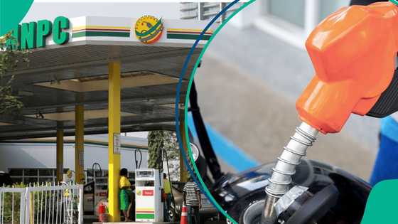 "Market will be flooded": Fuel prices to drop as marketers negotiate with NNPC, refineries