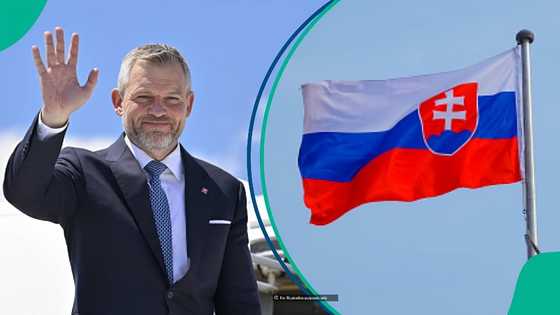 Slovakia explains only 1 way foreigners can acquire the country's citizenship