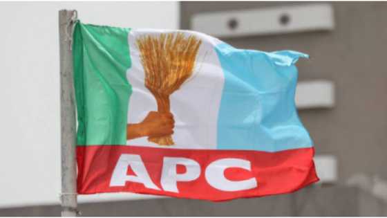 Fresh crisis hits APC in top northern state as 38 exco members sack party chairman, gives strong reason