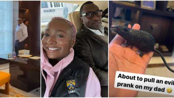 My dad was pissed: DJ Cuppy pranks dad Femi Otedola with a fake rat