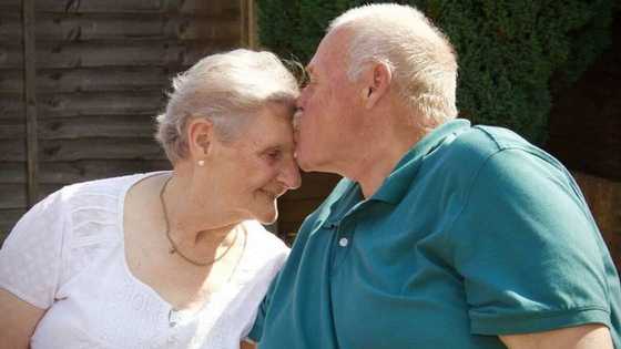 Mother and son emotionally reunite after 58 years apart, their adorable photos light up the net