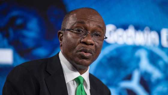 2023: CBN governor Godwin Emefiele: Why not? by Abdulkadir Kabiru