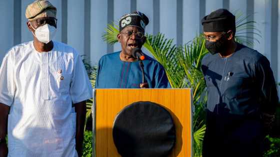 LG elections: Tinubu speaks on having a preferred candidate for Lagos state