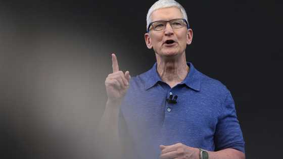 'Something is rotten': Apple's AI strategy faces doubts