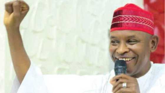 2023 Kano guber: APC opens up, explains why top governor-elect shouldn't be declared winner