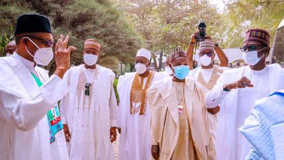 It's shameful! PDP, Afenifere react as 10 APC governors accompanied Buhari to Daura for registration