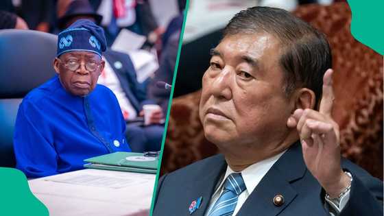 Breaking: Japan speaks out over plans to create special visas for skilled Nigerians