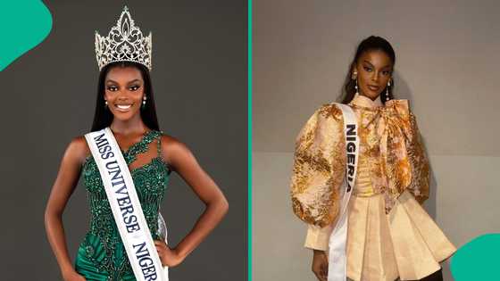 Miss Universe: Psychologist shares factors that enabled Chidimma Adetshina's success at pageant