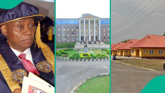 School fees, courses at Adeleke University owned by Davido's father
