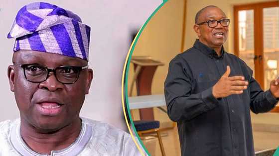 2027 election: 'What will happen if ADC fails to field Peter Obi as presidential candidate’, Fayose explains