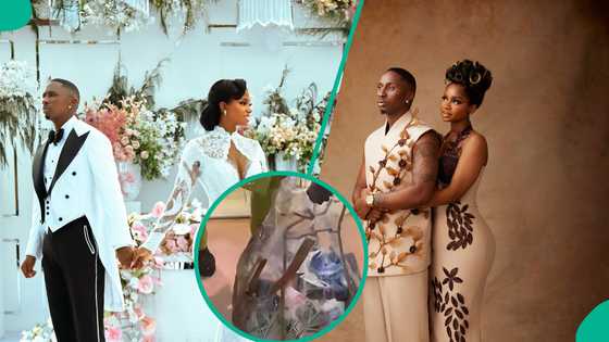 JP 2025: Video of men struggling to carry money made at wedding trends, "I can see why Kamo stole"
