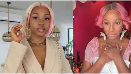 Fans dig out photos of podcaster who dragged DJ Cuppy over her wig, expose her: "One wig, how many pictures?"