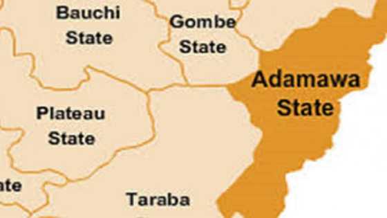 Rikicin kabilanci: Rayuka masu tarin yawa sun salwanta a Adamawa