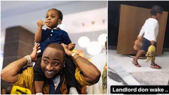 Landlord don wake: Davido melts hearts as he shares lovely video of son Ifeanyi pacing the room, fans react