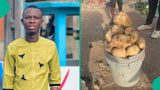 Man displays big bucket of potatoes he bought for N1,700 at Bauchi market, netizens marvel