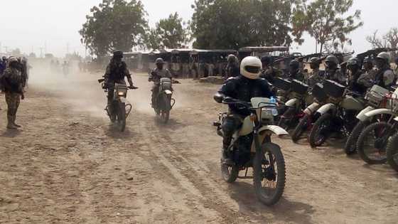 Over 100 bandits killed, 50 motorbikes recovered in Niger by security operatives