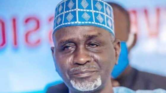 Bayan ziyarar Ganduje, Shekarau ya fasa sanar da komawarsa jam'iyyar NNPP