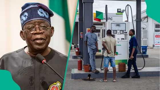 FG sends strong message to marketers, demand immediate petrol price reduction